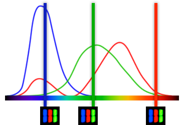 color-cones-bars