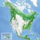 Tree cover of north america