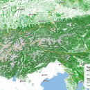 Tree cover of the Eastern Alps