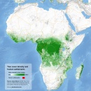 Tree cover and urban areas of Africa