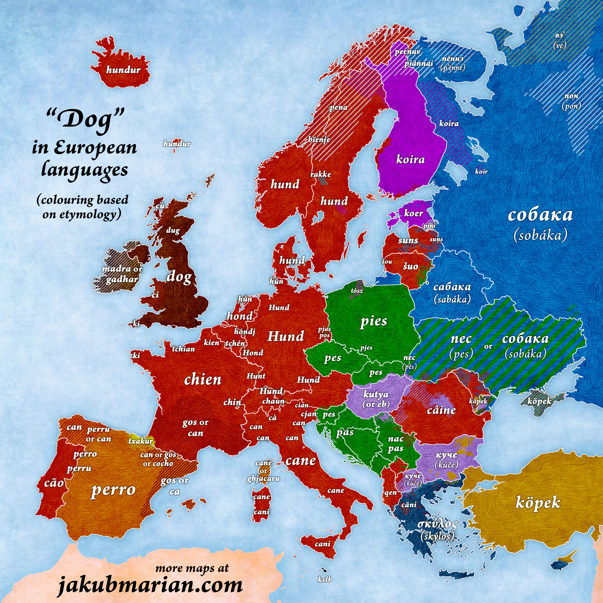 dog in European languages