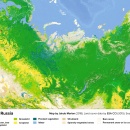 Land cover of Russia